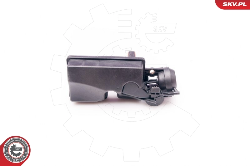 Valve, air control (intake air)